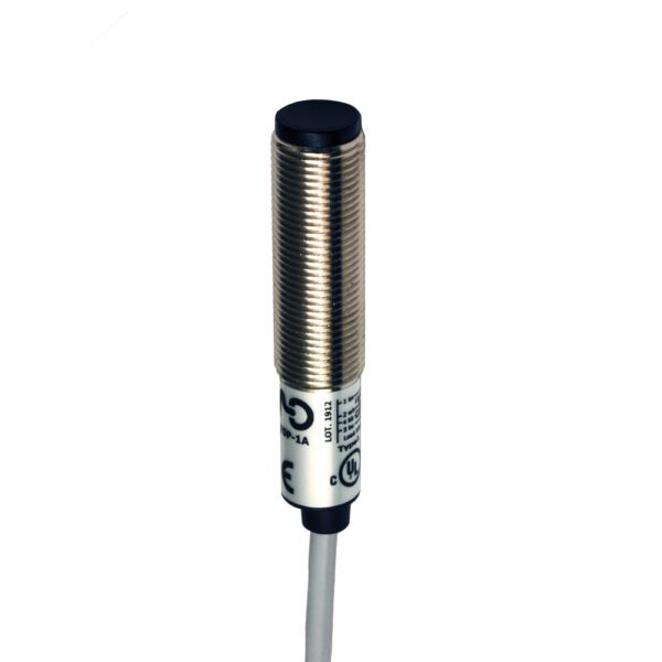 Datasensing DM2/0N-1A M12 Difüz Fotoelektrik Sensör